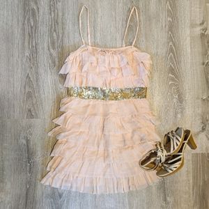 NWT Dusty Rose Frilly Dress  |  French Connection